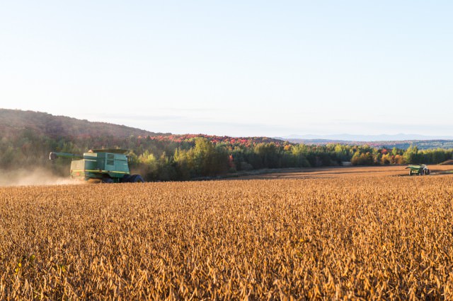 Agriculture à Saint-Malo